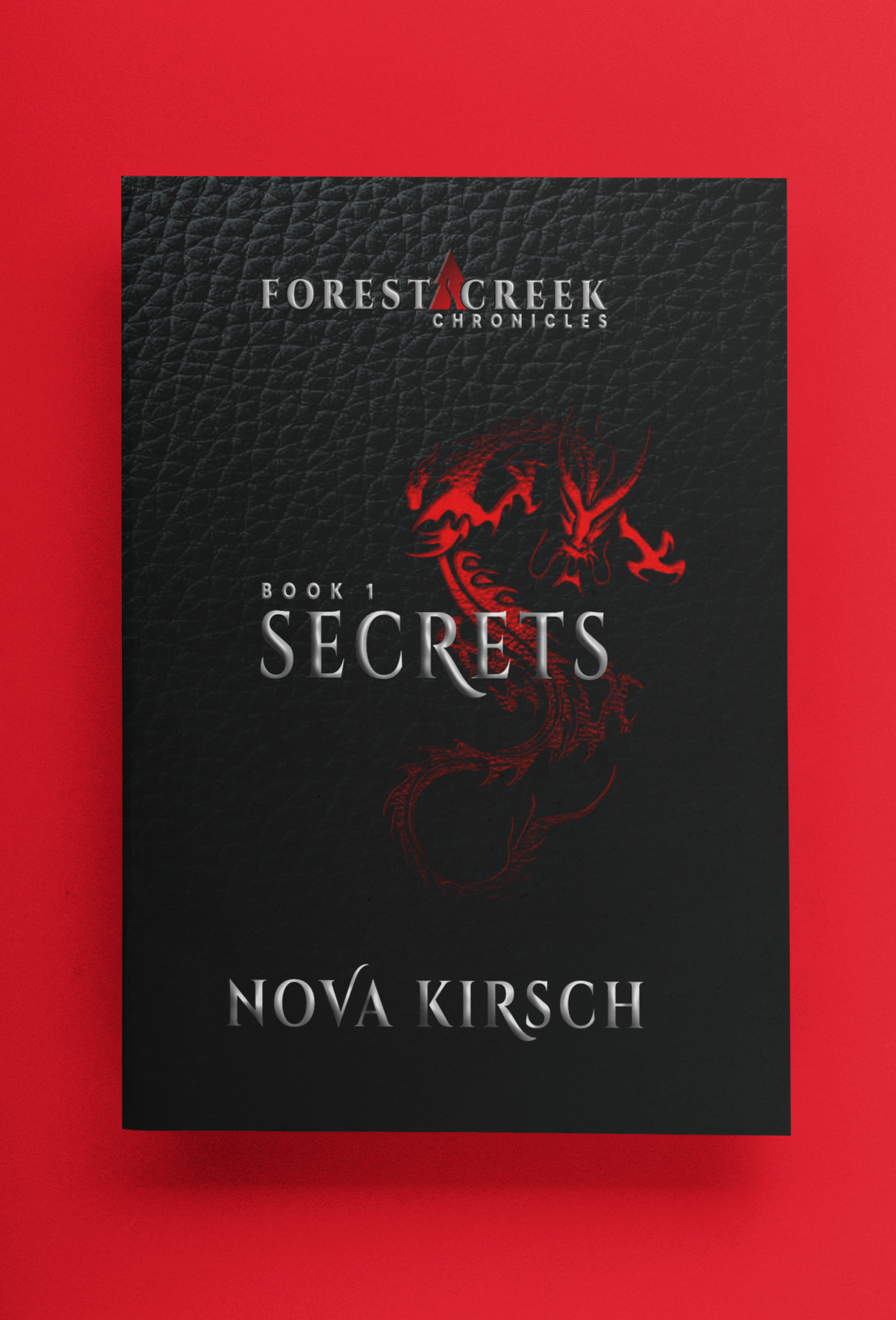 Forest Creek Chronicles Book 1 - SECRETS (Paperback)